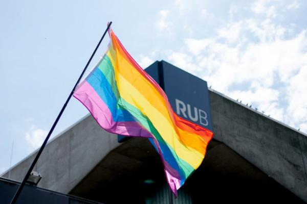 Diversity Day Flagge